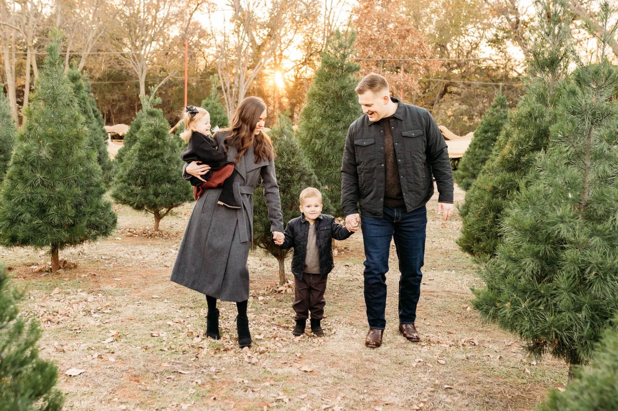 wells christmas tree farm mini sessions 2022