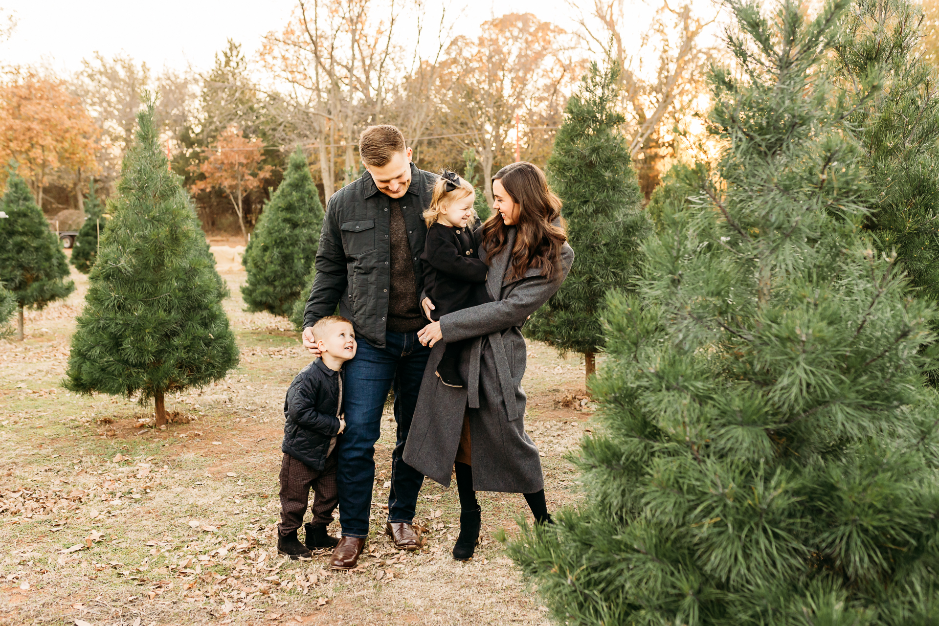 images at Wells Christmas Tree Farm by OKC photographer